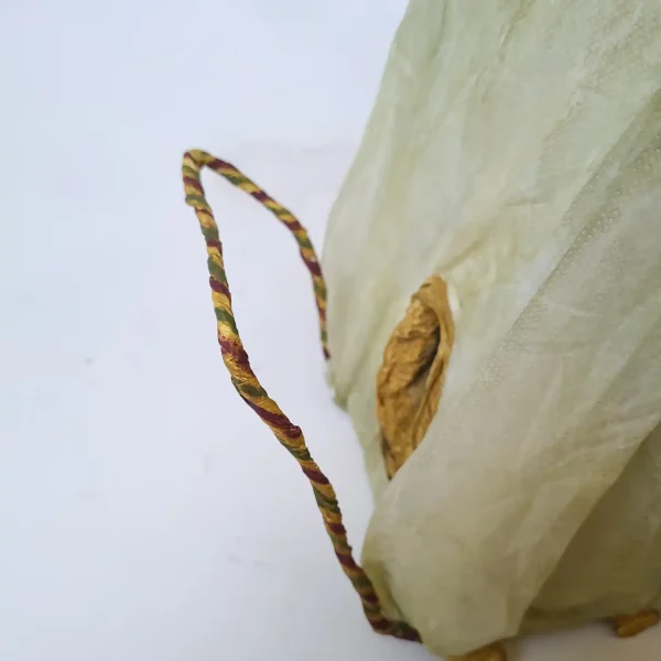 مجموعه 30 هنرمند هنرمند دوره گرد