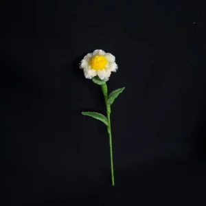 مجموعه گل های پشمالو گل سولینا