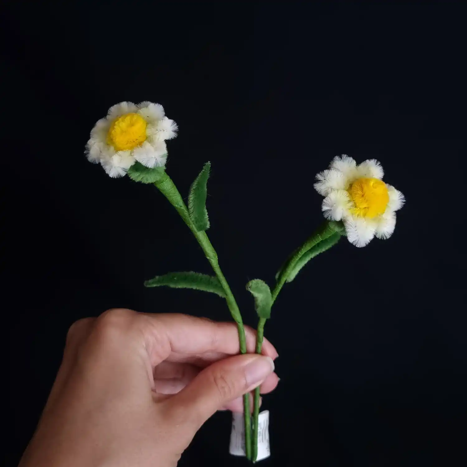 مجموعه گل های پشمالو گل سولینا