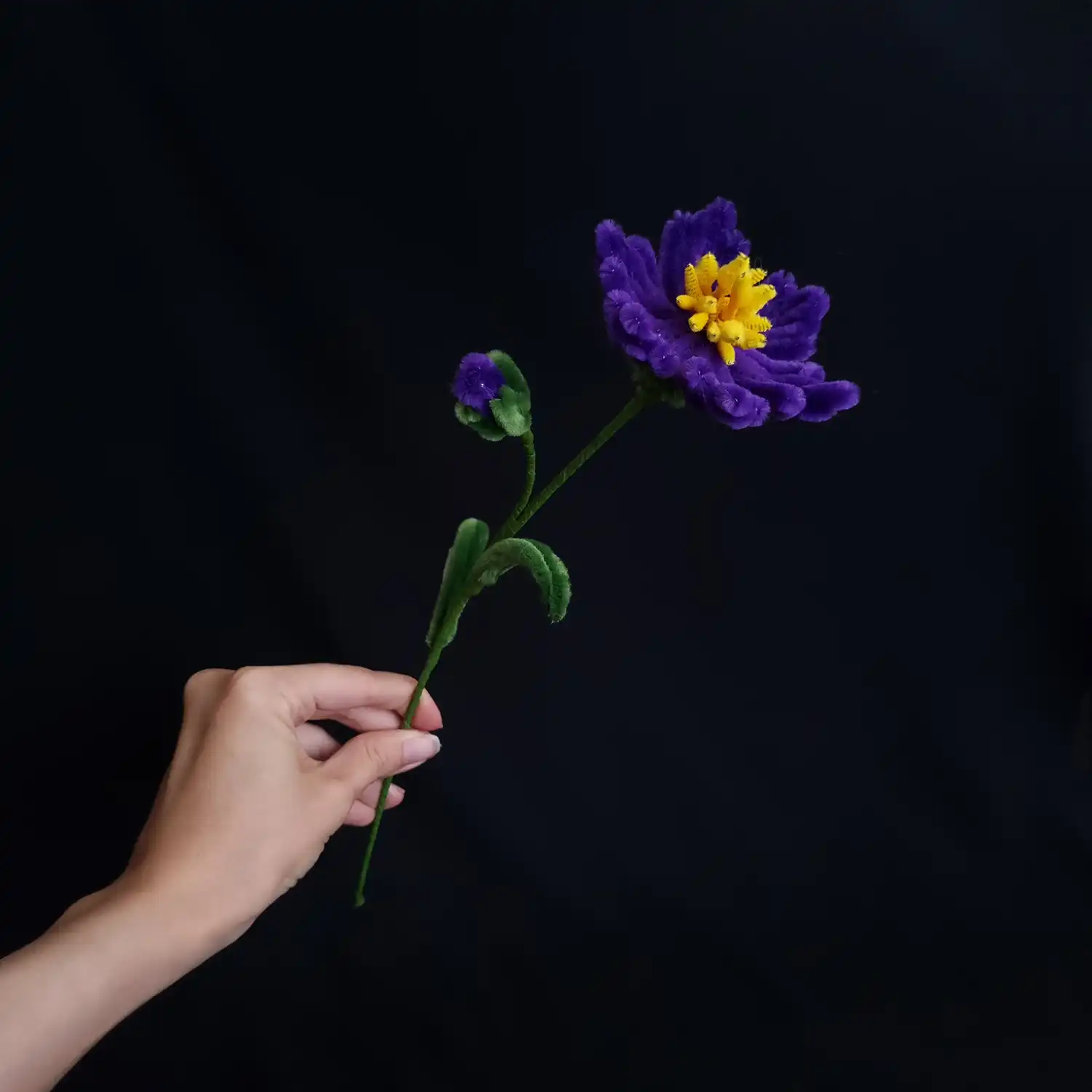 مجموعه گل های پشمالو گل ویولِتارا