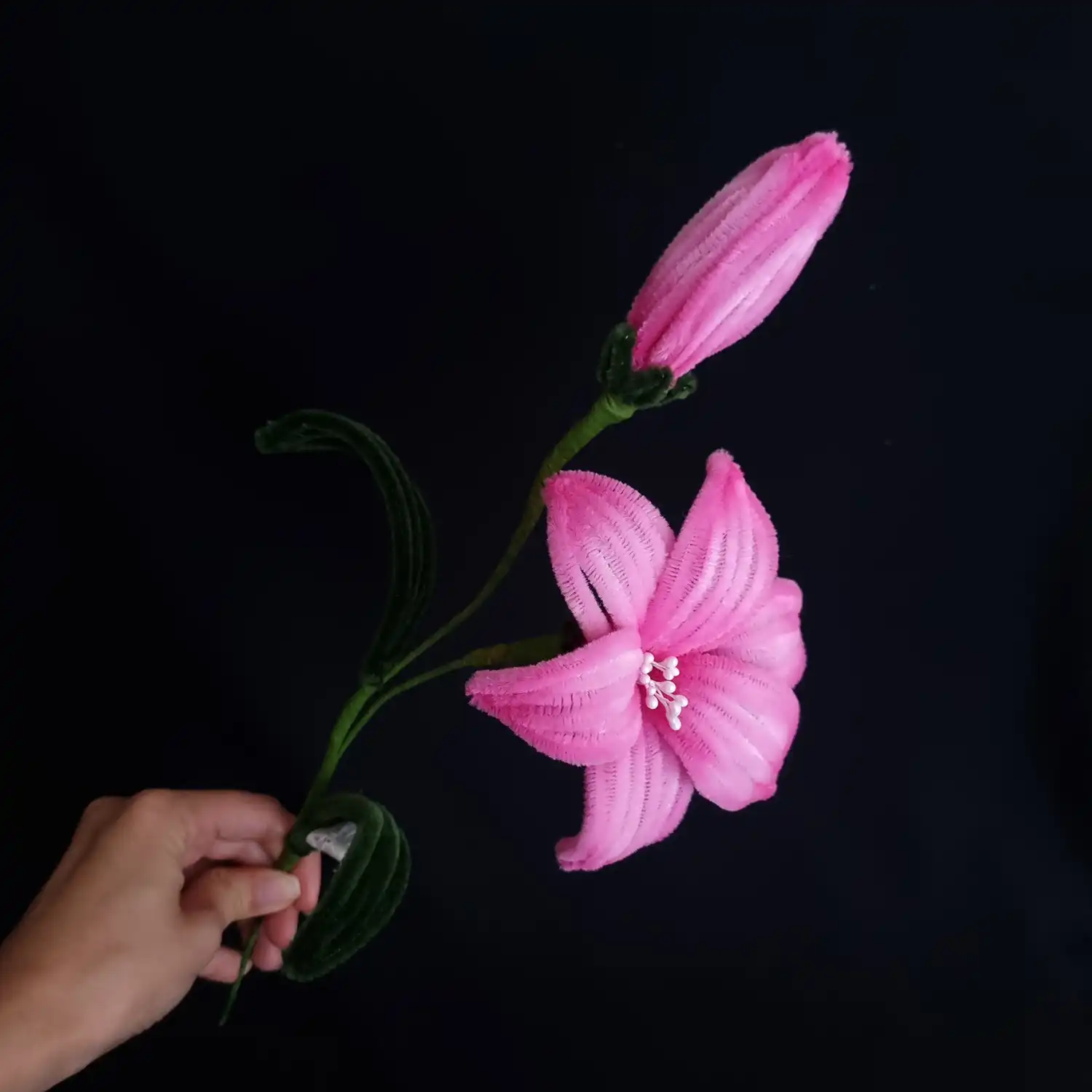 مجموعه گل های پشمالو گل میرِل