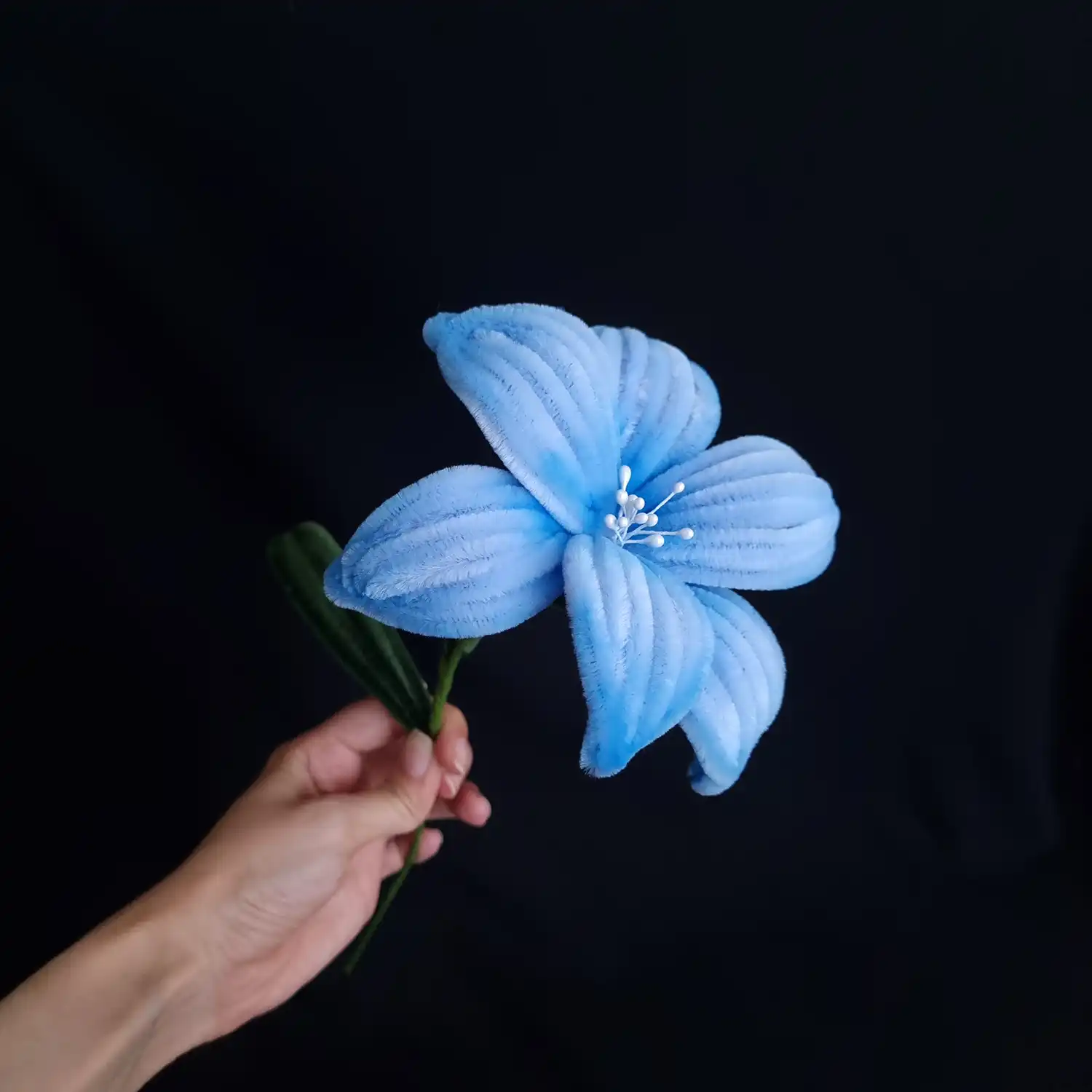 مجموعه گل های پشمالو گل لیور