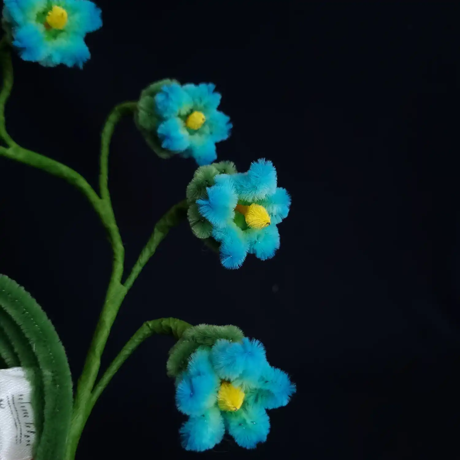 مجموعه گل های پشمالو گل بِلین