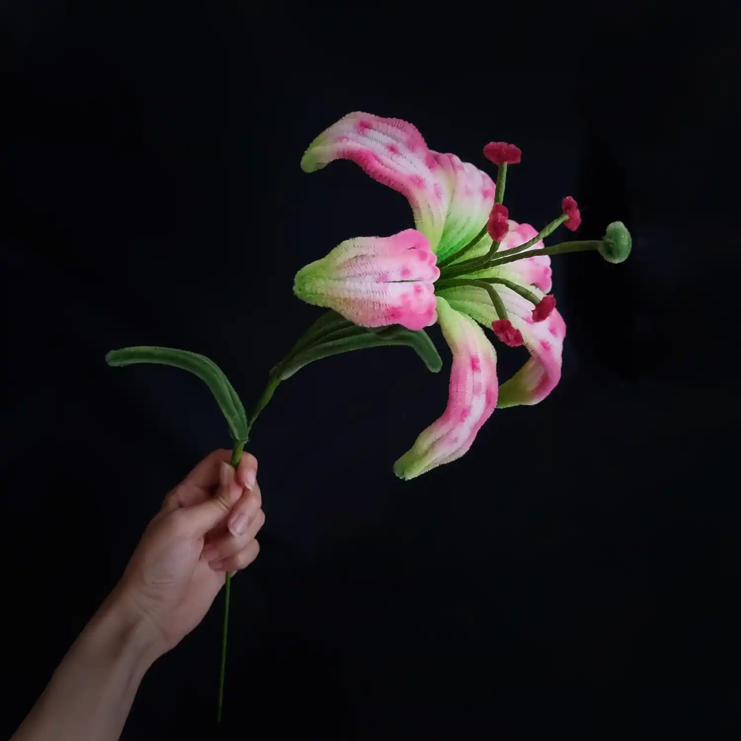 مجموعه گل های پشمالو گل روبین