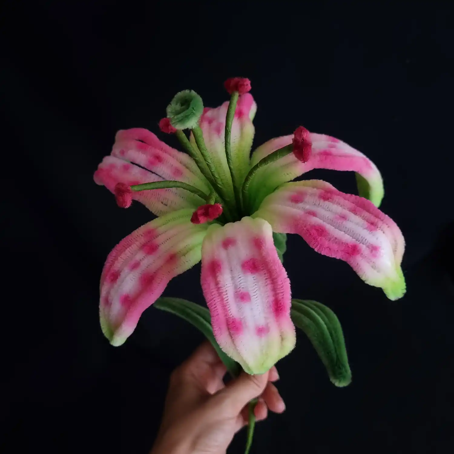 مجموعه گل های پشمالو گل روبین