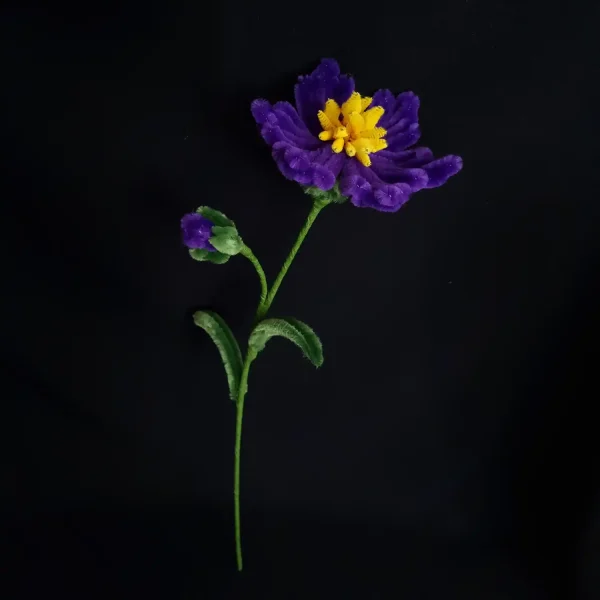 مجموعه گل های پشمالو گل ویولِتارا