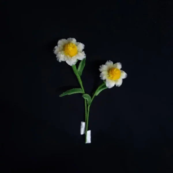 مجموعه گل های پشمالو گل سولینا