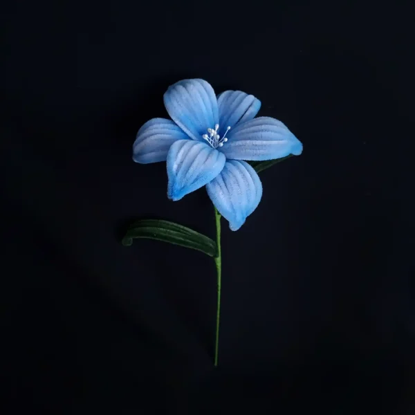 مجموعه گل های پشمالو گل لیور