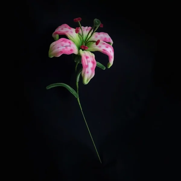 مجموعه گل های پشمالو گل روبین